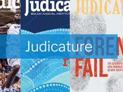 Article: Legal Information vs. Legal Advice - Developments During the Last Five Years (Greacen 2001)