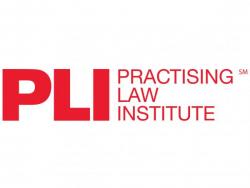 PLI Logo