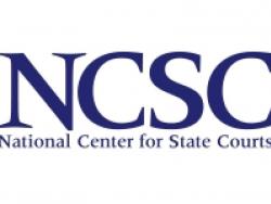 Report: Building A Litigant Portal: Business and Technical Requirements (NCSC 2015) Report: Building A Litigant Portal: Business and Technical Requirements (NCSC 2015)